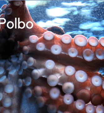 pulpo valores nutricionales