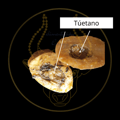 tuétano ideal para la salud